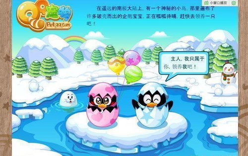 2026年QQ游戏宠物终极养成指南，从0到满阶的隐藏捷径