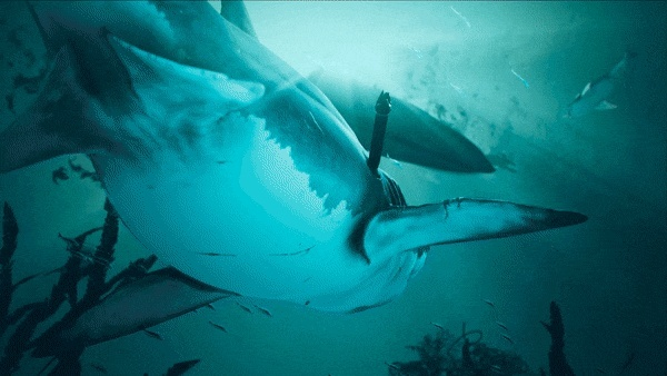 一、鲨鱼玩法本质，被误解的动态环境适配器