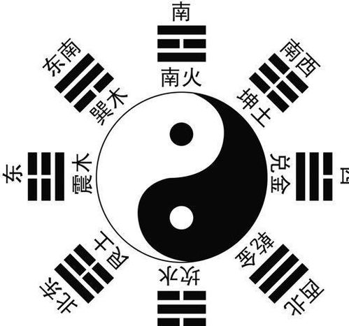 白青大地八卦属性类型终极指南，2026年Q1实战数据揭秘最优配装方案