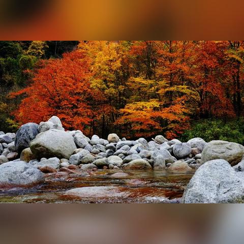 红叶羁绊3天速成，解锁酒吞羁绊的7个隐藏机制与实战增益