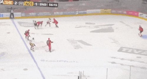 美国运动员冰刀割喉身亡，2026年冰球颈部护具选购实战指南