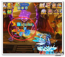 洛克王国凡雀隐藏机制大揭秘，从捕捉到超进化的完整路线图