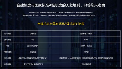 黑猫任务卡关率超60%？2026年Q1最新通关数据揭示3大破局关键
