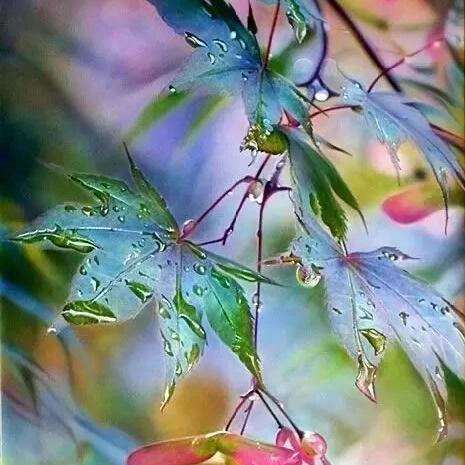 版本内核解析，新月传奇为何能跳出三月死魔咒