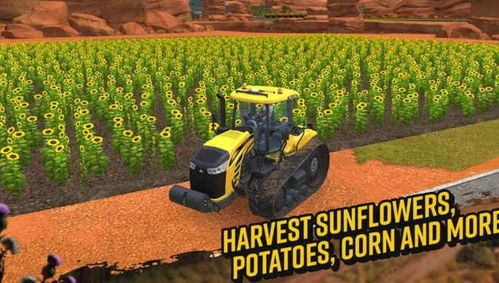 模拟农场2013终极赚钱攻略，从负债10万到年入千万的7个机械组合秘密