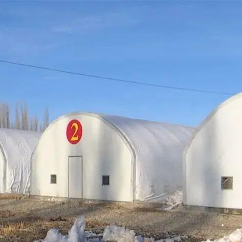 中国玩家生存现状，灰色地带的规模化运营