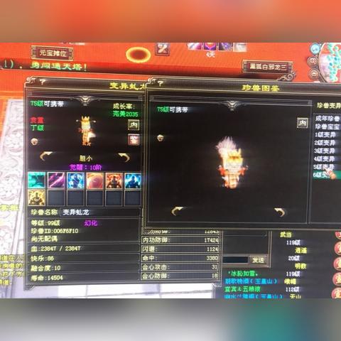 天龙八部宝宝技能悟性终极指南，从7技能到悟性10的暴力美学