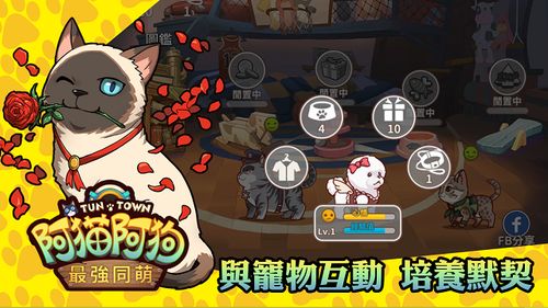 阿猫阿狗2下载，2026年3月最后存活资源点+兼容性修复实战