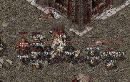 2026传奇世界新手必看，3天50级实战路径与隐藏地图爆率全解密