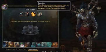 2026年神泣私服避坑指南，实测12个版本后，我总结了这份生存法则