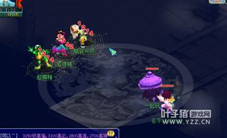 梦幻西游PS天罗地网伤害天花板？2026固伤提升全链路拆解