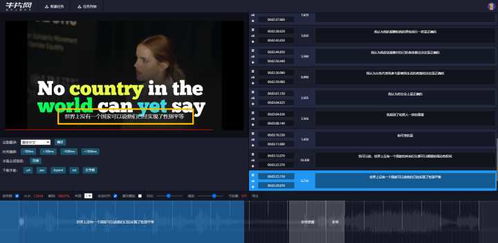 为什么你的狂怒字幕总乱码？3分钟搞定字幕类型匹配难题
