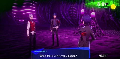 终于等到！女神异闻录6确认登陆Xbox引玩家热议