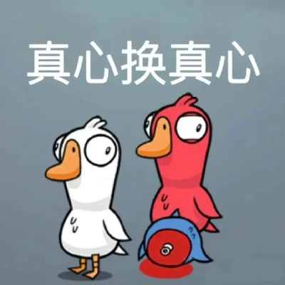 鹅鸭杀玩家盼公平，金华警方跨省捣毁外挂制售团伙