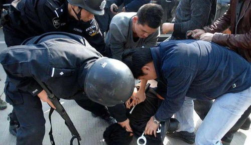 金华警方严打鹅鸭杀外挂黑产，跨省捣毁制售团伙