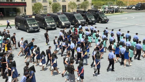 鹅鸭杀外挂制售团伙被捣毁！金华警方跨省打击黑灰产