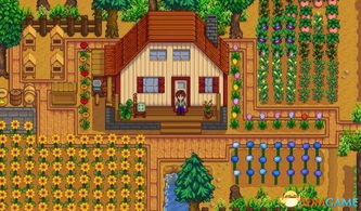 星露谷物语钓鱼秘境大揭秘！隐藏钓点等你来发现