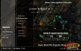 上古卷轴4重制版炼金大师NPC盘点:揭秘隐藏炼金秘境！