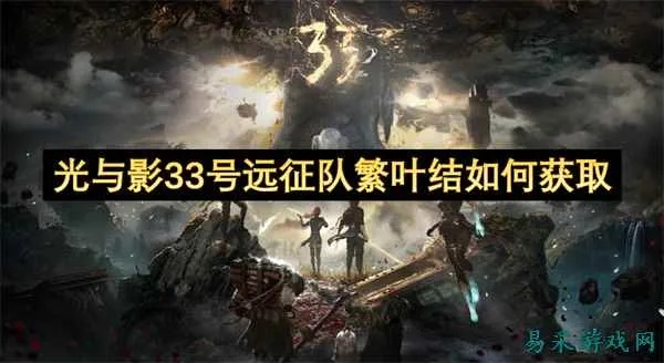 探秘光与影33号繁叶结:独家攻略,多图揭秘！