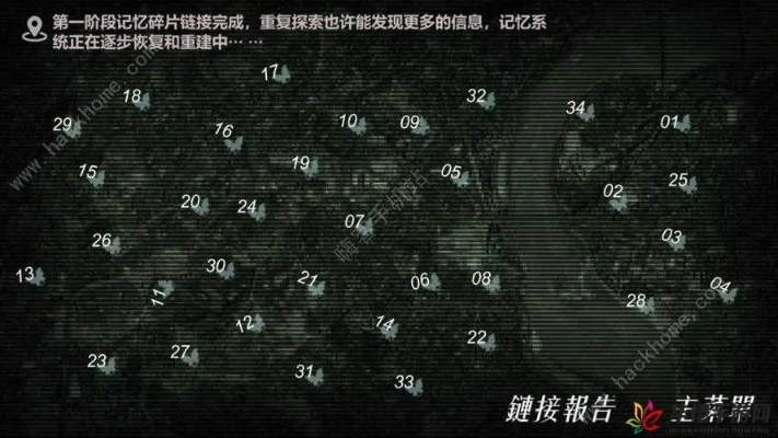 迷城陆区黑客秘籍大揭秘:独家攻略图解,揭秘未知领域！