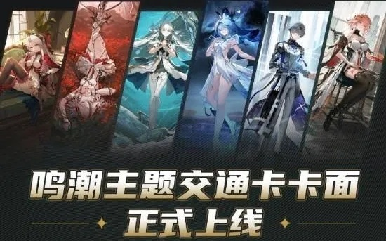 鸣潮双愿速达,大小卡惊喜集结,快来体验贴心互动！