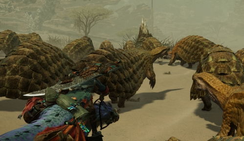 《怪物猎人荒野》全攻略揭秘：荒野狩猎秘籍大公开