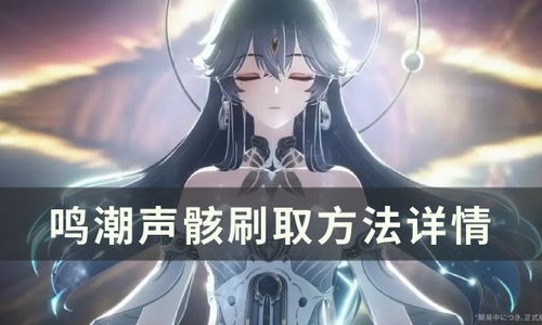 《鸣潮》洛可可声骸搭配攻略：洛可可最佳声骸推荐