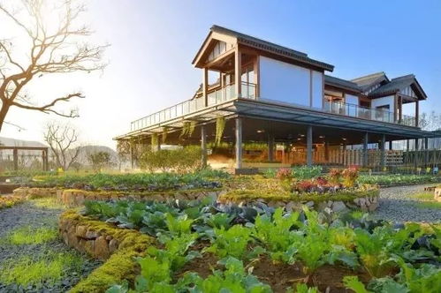 《风和日暖》预告曝光：沉浸式乡村农场生活模拟体验