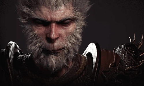 《黑神话悟空》连战模式通关攻略：禁连战配装技巧揭秘