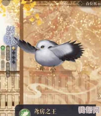 《如鸢》开服平民阵容攻略：打造新手最强阵容秘籍