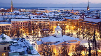 《心动小镇圣米格尔雀：探寻神秘鸟儿的藏身之地》