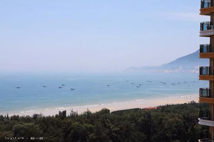 《心动小镇秘境探秘：捕捉旅鸟翼凤蝶的绝佳地点》