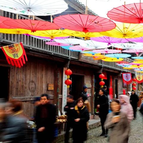 《心动小镇》农作物高收益盘点：揭秘哪些作物最赚钱