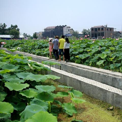 《心动小镇》7月21日朵朵新位置曝光！独家揭秘！
