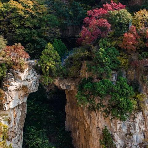 《心动小镇》新手攻略：轻松上手，解锁隐藏秘境