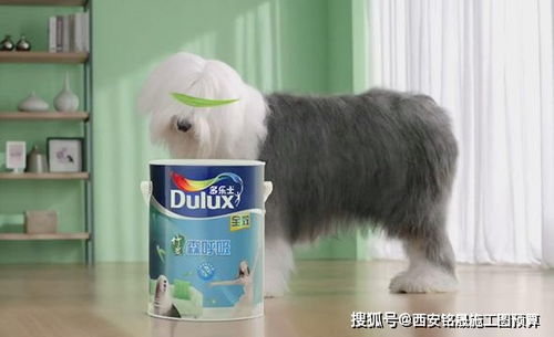 《启元新手攻略：轻松打城，掌握技巧》