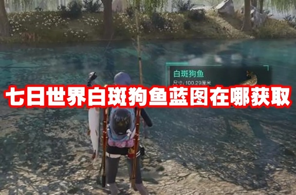 白斑狗鱼蓝图攻略：独家获取秘籍，解锁七日世界新境界
