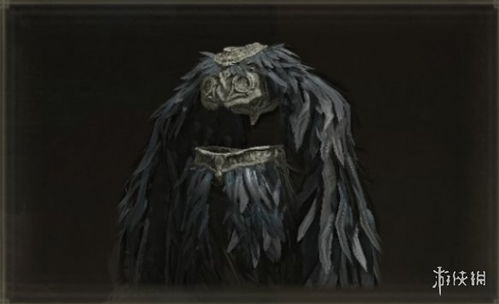 《艾尔登法环》DLC黑羽铠甲：黄金树影守墓鸟独门秘籍解锁攻略