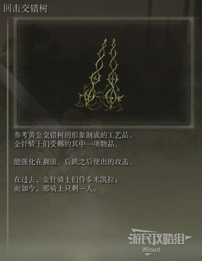 《艾尔登法环》DLC黄金树护符攻略：高效获取实用秘籍分享