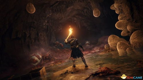 《艾尔登法环》DLC攻略：黄金树影探秘，获取岩石与女巫心脏技巧解析