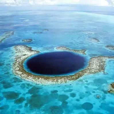 《仙境传说起源》宠物捕捉攻略，深度解析养成新秘籍