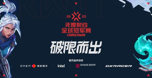 《无畏契约》6月17日皮肤热度榜揭晓，揭秘新潮流趋势！