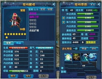 《活侠传》快速赚钱攻略：前期高效赚钱技巧揭秘