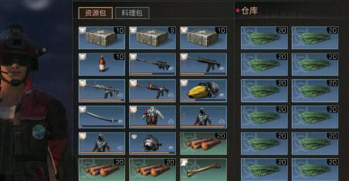 《鸣潮》沉日劫明声骸高效刷取攻略，揭秘全新价值路线