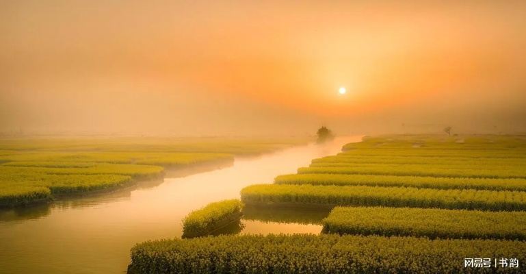 《塔瑞斯世界》安卡什迷雾森林探秘攻略，深度解析必游点位