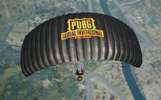 《绝地求生》国服大动作！蓝洞上海子公司成立揭秘