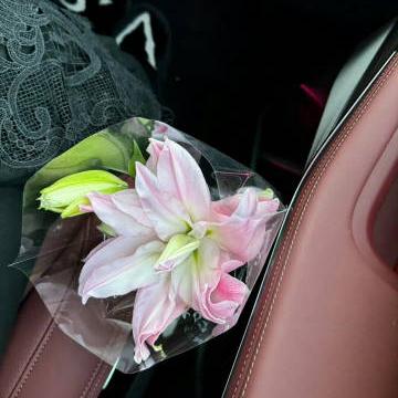 1. 游戏狂热瞬间！盘点6款让玩家沉迷的爆款
2. 玩到停不下来！揭秘6款让玩家疯狂的游戏
3. 爆款游戏大揭秘：6款让玩家欲罢不能的佳作
4. 游戏迷必看！盘点6款让玩家疯狂上瘾的神作
5. 玩家狂热推荐！6款让人一玩就停不下的游戏
6. 游戏狂热榜！6款让玩家为之疯狂的爆款盘点