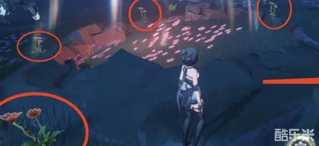 妙戈花高效采集攻略，解锁全新资源价值