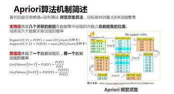 《鸣潮》云露高效采集攻略：快速升级必备路线