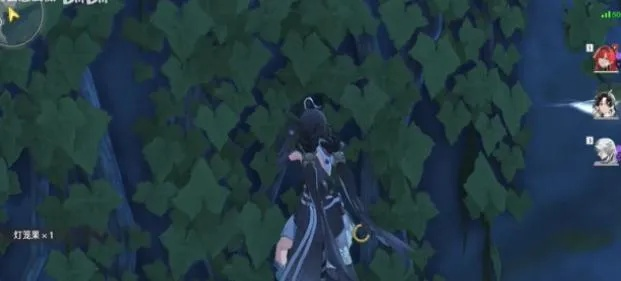 《鸣潮》独家揭秘：高效灯笼果采集路线攻略！